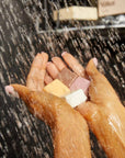 Bottle-Free Beauty 4pc Sampler Set