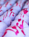 Kid's Mini Bath Bombs