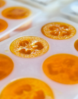 Loofah Soap - Honeysuckle Kisses