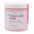 Jar of whipped sugar scrub with a pink lid on a white background