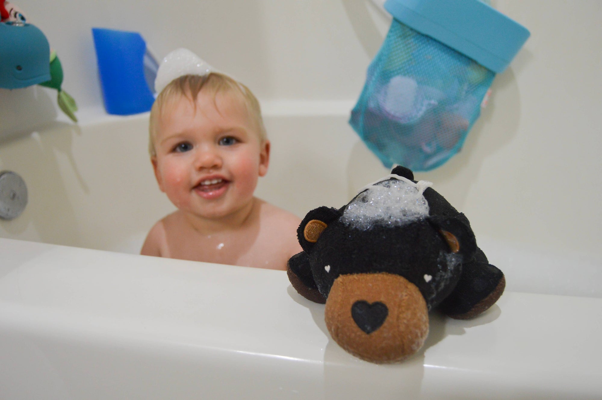 Bailey the Bear